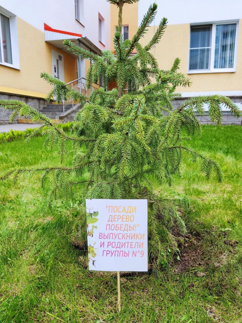 Aкция "Посади дерево ПОБЕДЫ"
